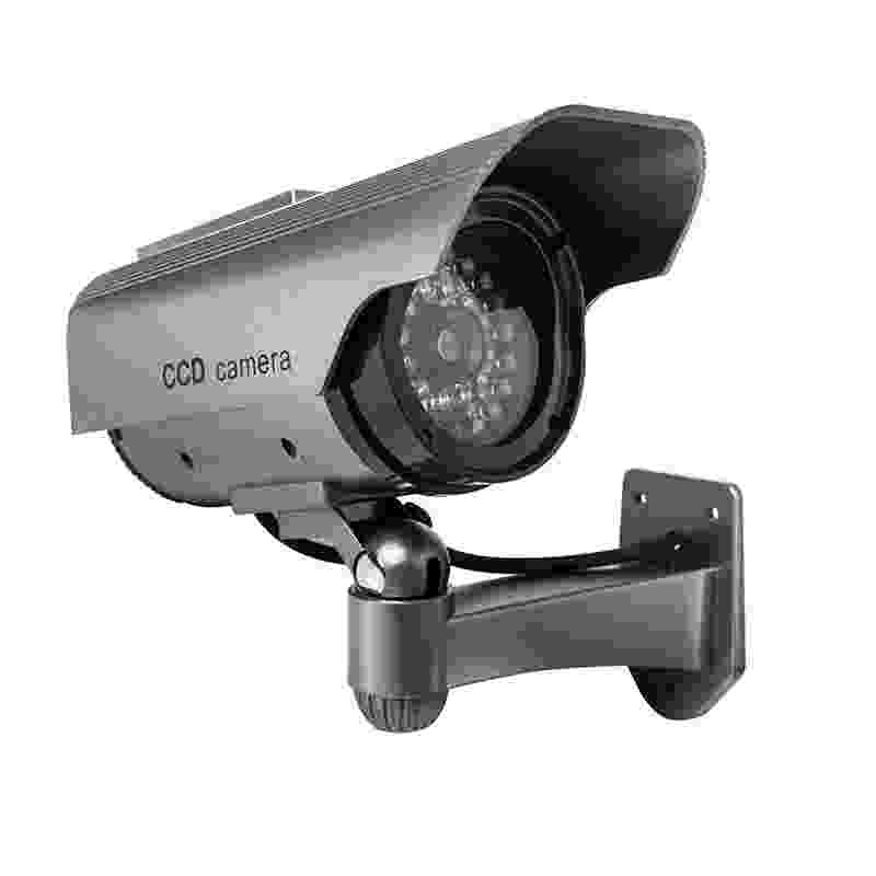 Aliquam ut dictum sapien